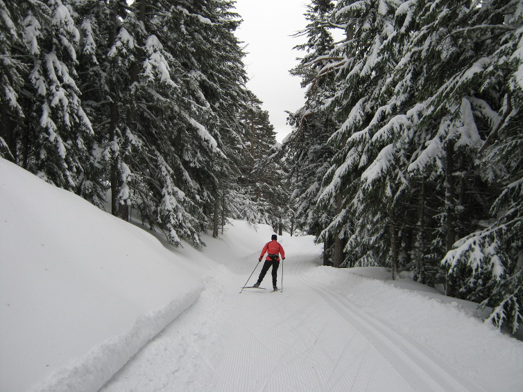 sardieres ski de fond web